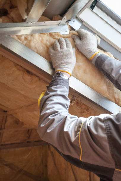 Best Best Insulation Companies  in Laurel Hill, VA
