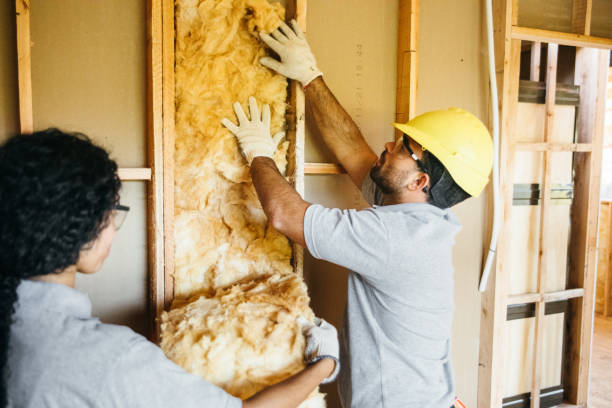 Best Insulation for New Construction  in Laurel Hill, VA